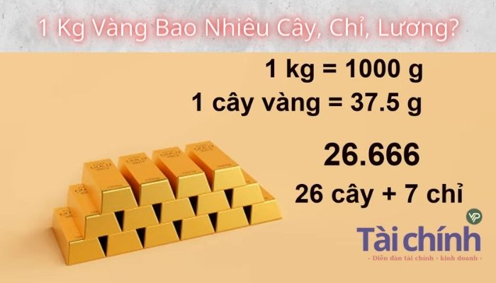 kiểm toán báo cáo tài chính